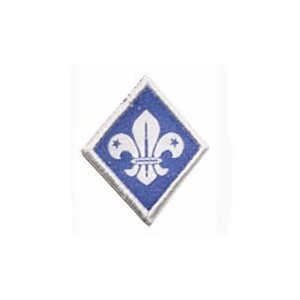 Distintivo de Especialidade...