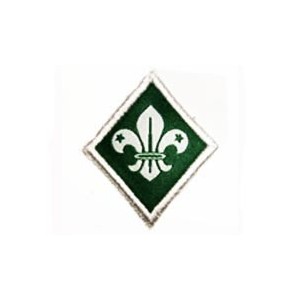 Distintivo de Especialidade...