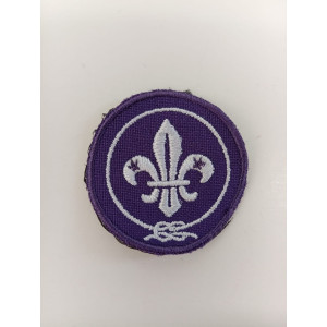 Insígnia Bureau Mundial