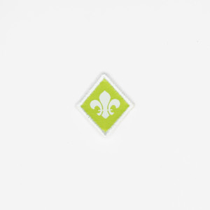 Distintivo de especialidade...
