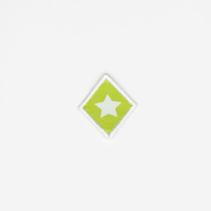 Distintivo de especialidade...