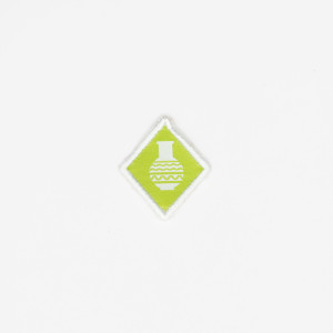 Distintivo de especialidade...